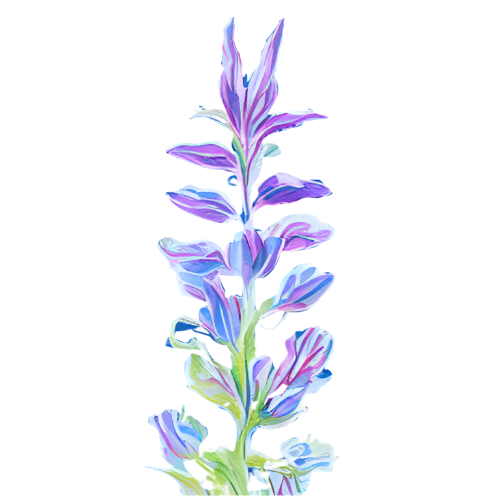 Azure Montessori LLC